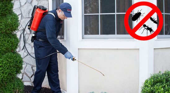 Ağın Kene İlaçlama böcek ilaçlama ve haşere kontrolü — ilaclama-tr.com